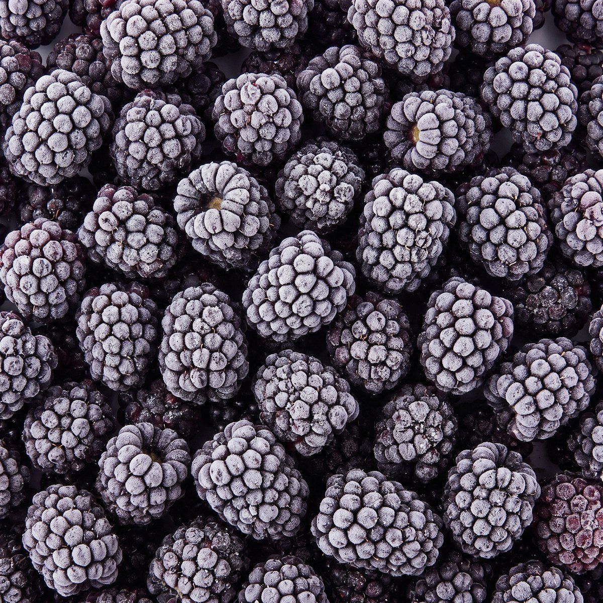 Moras Cultivadas Best Food, producto congelado