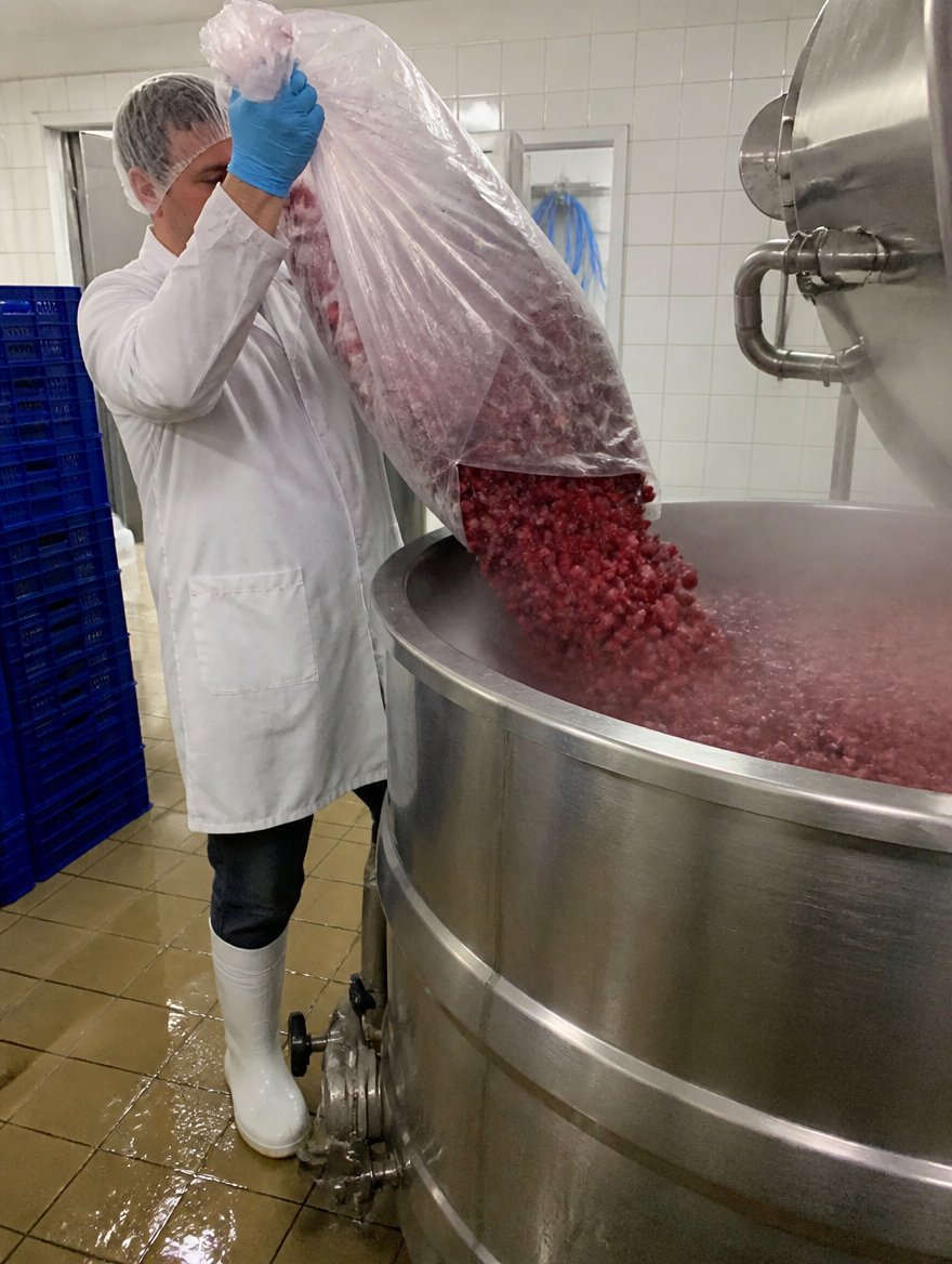Mermeladas, pulpas y jugos: fruta congelada en línea de producción